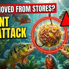 I Did This Once And Never Needed Artificial Bait Again — Removed From Professional Fishing Stores.
