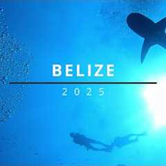 2025 - Belize #4k #scubadiving