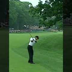 Greatest Golf Shot Of All Time