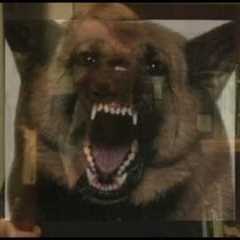 Bad Ad: Lawyer Commercial