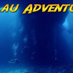 Palau Scuba Adventure! (World's best diving?)
