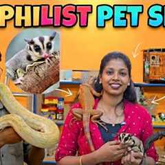 Exotic snake,fish,terrenulla , hamster , sugar glider,  iguanas pet shop chennai 