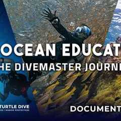 An Ocean Education: The Divemaster Journey (Full Documentary) Koh Tao, Thailand