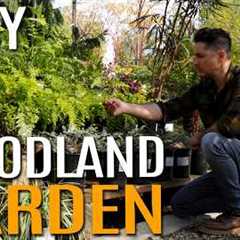 Copy My 5 Plant Recipe for a Beautiful Woodland Garden! | Landscape Design Tutorial