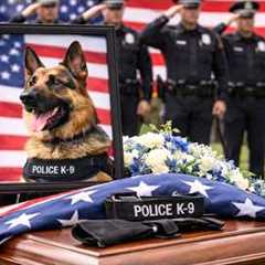 Officers Honor Last 911 Search Dog With Moving Tribute Before Being Put Down |top best dog training