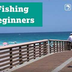 Pier Fishing for Beginners