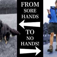 Teaching Your Dog To Listen To You Outside AND Off-Leash!