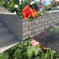 How to Design a Beautiful Front Yard: 10 Landscaping Tips That Work