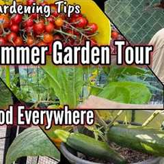 Vegetable Garden Tour TIPS Growing Tomatoes Peppers Lettuce Herbs Kale Collard Container Gardening