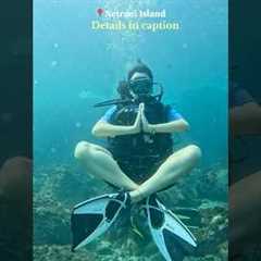 Scuba diving only at 3500 | Netrani Island | Gokarna #ytshorts #scubadiving #netraniisland