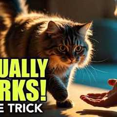 How To Train Your Cat To Come When Called (Simple Method)