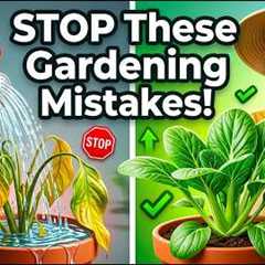 9 Beginner Gardening Mistakes That Are Killing Your Plants Avoid These!
