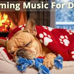 12 Hours Dog Calming Music 🐶 Reduce Anxiety & Separation Stress | Piano Music