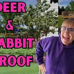 Landscape Design Ideas-Deer & Rabbit Resistant| Before & After