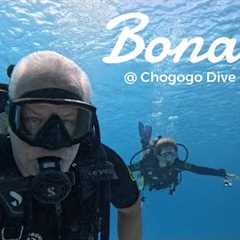 Exploring Bonaire: Chogogo Resort, Amazing Food & Epic Scuba Diving! 🏝️🐠