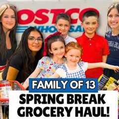 Massive $1,000 Costco Grocery Haul | Family of 13