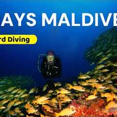 Exploring Paradise: 14 Days scuba diving on a Maldives Liveaboard 🦈 🤿