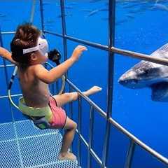 5 YR OLD Scuba Dives with GREAT WHITE SHARKS in Mexico!!