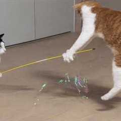 Cats Being Pure Chaos