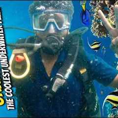 First Time Scuba Diving in Goa (Grand Island) | I Was Not Ready For This! 🤿