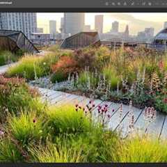 Arjan Boekel - Dutch Garden Design Star