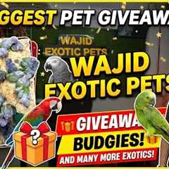 Wajid Exotic Pets has new stock and a giveaway! 🦜🎁 #Pets #Giveaway #conure #birds 