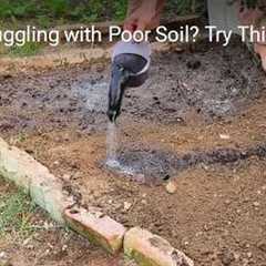 Struggling with Poor Soil? Try This EASY Fix! #gardening #hack