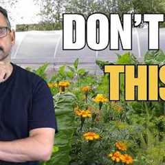 5 Beginner Garden Mistakes You Need to Stop Now