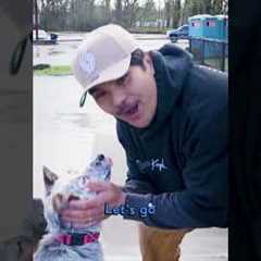 Rescue Dog Training: Day 2 of Teaching My Dog to Skateboard