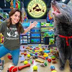 Taking My Binturong to a Local Pet Shop!