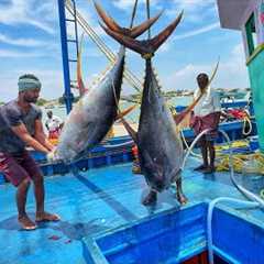 Ohh Final Day! On The Last Day We Caught Fish And Returned To The Fishing Port | Day-13 | S04-EP14