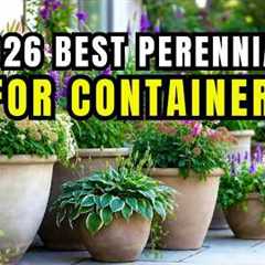 😍 10 Easiest Perennials for Container Gardening 🌿(Low Effort, Big Impact!)👌