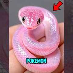 Top 3 Rarest Snake Species on Earth 😱