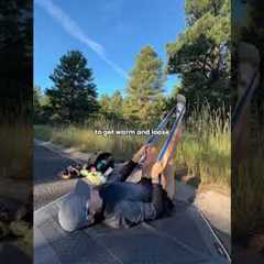 How to Warm Up for a RUN