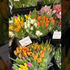 Grocery shop with me 🌷 #asmr #shopwithme #shopping #groceryshopping #satisfying #relaxing #shorts