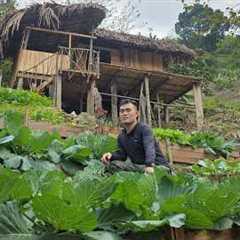 From Bare Land to Dream Home: Complete Stilt House Build