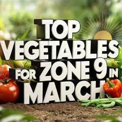 Best Vegetables to Plant in March in Zone 9: Easy Gardening Tips for a Thriving Spring Garden!