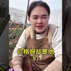 Flower Gardening: Easy Tips for Growing Beautiful Blooms