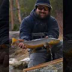 The Most Important Bug in Fly Fishing