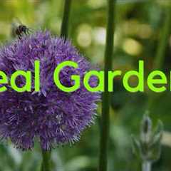 The Complete Guide to Wildlife Friendly Gardening...