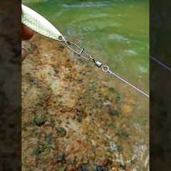 How to properly set up a fishing lure #fishing #fishingknot #lure #fishinglures #tutorial