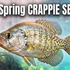 Everything You Need To Know To Catch Spring Crappie
