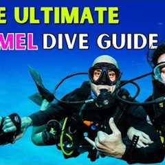 Where to Scuba Dive in Cozumel (ULTIMATE DIVE GUIDE)