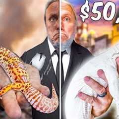 My Cheapest Lizard To My Most Expensive Lizard!