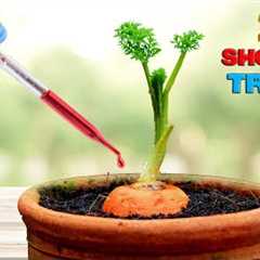 20 SHOCKING TRUTHS ABOUT GARDENING | GARDEN MYTHS DEBUNKED!