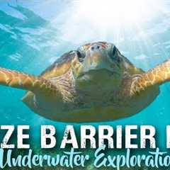 SCUBA DIVING BELIZE | Ambergris Caye and Placencia | travel vlog 2019