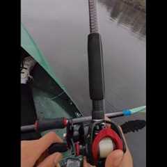 How to Fish (with No Experience)