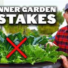 9 Beginner Gardening Mistakes to Avoid 😱 ❌