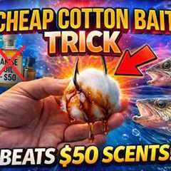 Soak a Cotton Ball in This — Fish Strike Instantly (Better Than $50 Scents)