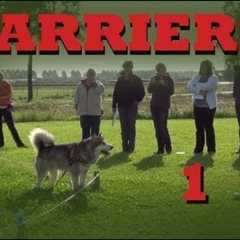 Teach your dog to stay in your yard- Invisible Barriers Part 1- Dog Training